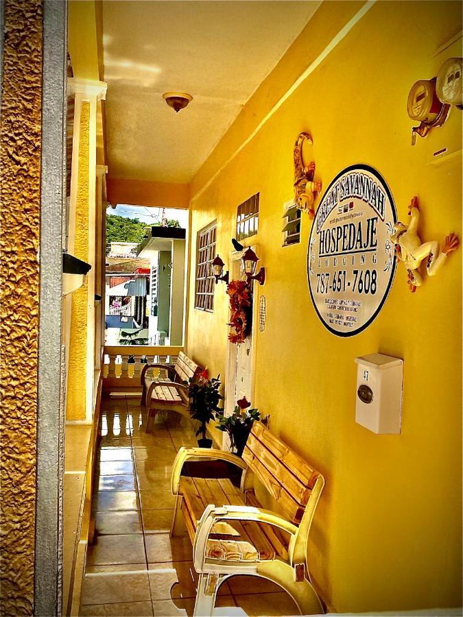Great Savannah Guesthouse Sabana Grande Exterior foto